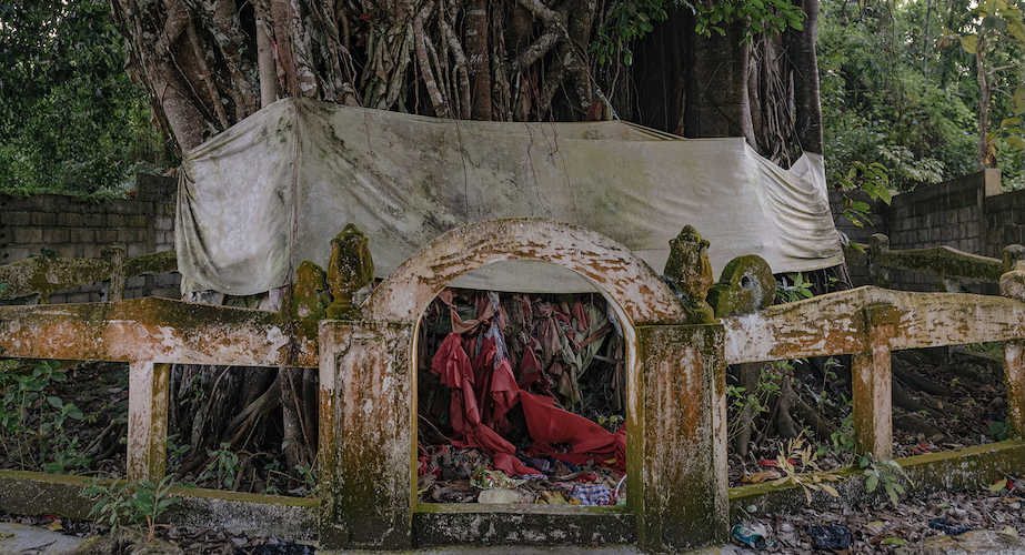 Pohon batu dan hantu-hantu / Kurniadi Widodo_Project Multatuli